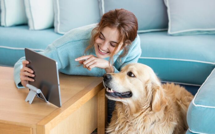 Discover the Future of Pet Care with SmartPet.ჯი