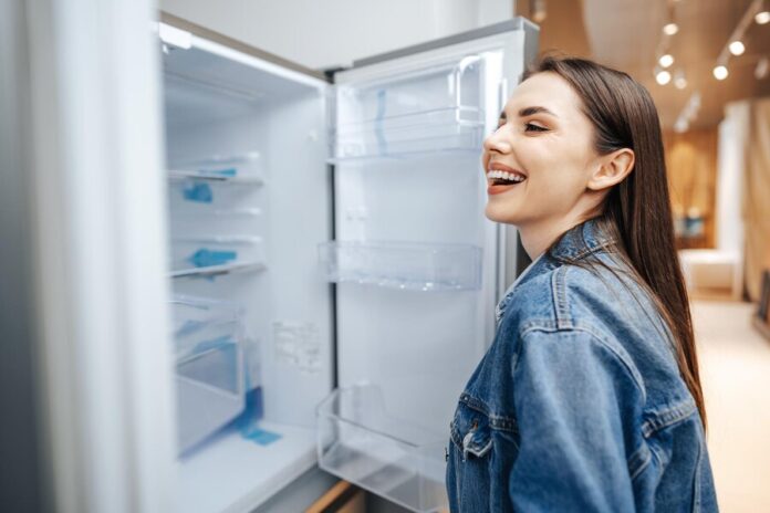 Unlock the Perfect Cooling Solution with the DM3136LSSL Refrigerator